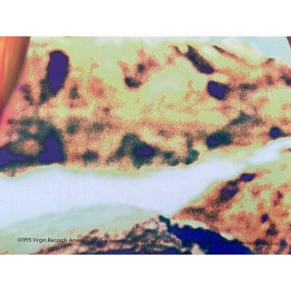 Lenny Kravitz "Are You Gonna Go My Way, Lenny On Fire" 1993 Promo Poster 18x24, - Picture 5 of 7